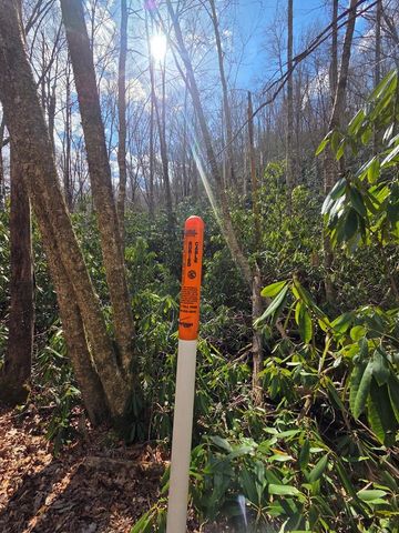 1104 Mill Creek Road, Robbinsville, NC 28771