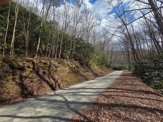 1104 Mill Creek Road, Robbinsville, NC 28771