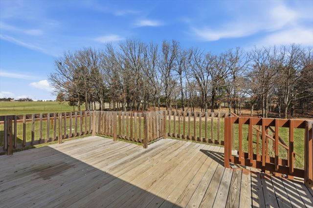 103 Colt Drive, Sadler, TX 76264