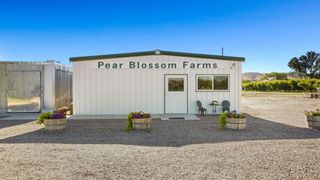 3376 C Road, Palisade, CO 81526