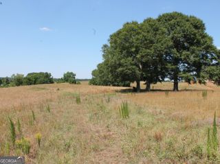 0 Sandy Creek Road TRACT 4, Madison, GA 30650