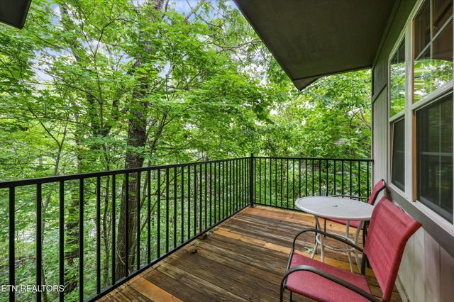 541 Johnson Ln Apt 2, Gatlinburg, TN 37738