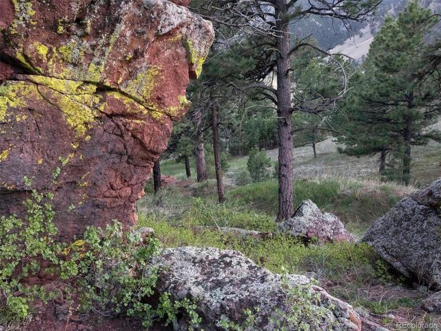 53 Canyon Pines Drive, Golden, CO 80403