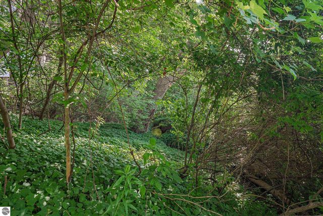 1200 Ramsdell Road, Traverse City, MI 49684