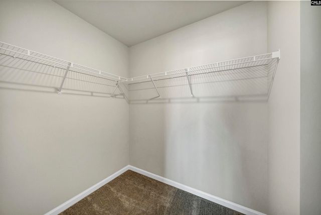 758 Ben Gunn Run, Gilbert, SC 29054