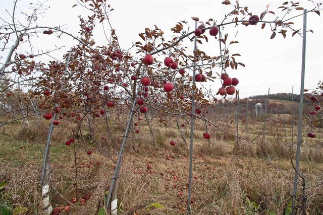 3120 County Road K, Barneveld, WI 53507