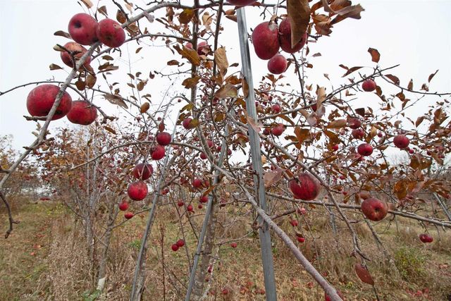 3120 County Road K, Barneveld, WI 53507