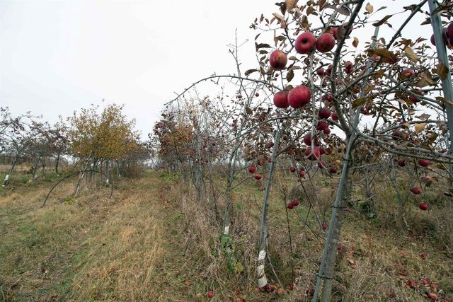 3120 County Road K, Barneveld, WI 53507