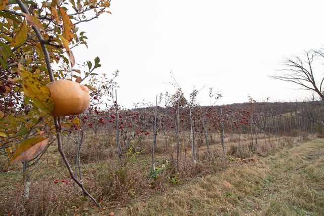 3120 County Road K, Barneveld, WI 53507