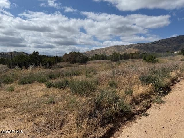 Palgrane Rd Vic Easy, Acton, CA 93510