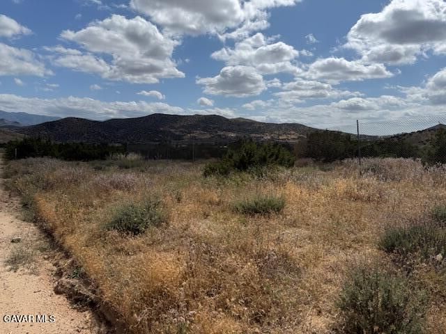 Palgrane Rd Vic Easy, Acton, CA 93510