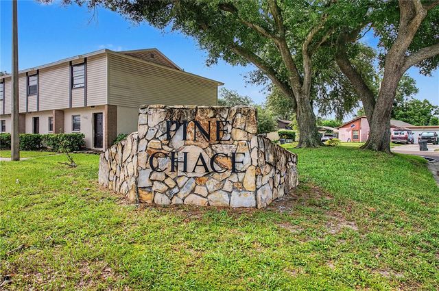 2106 PINE CHACE COURT, Tampa, FL 33613