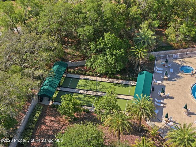 11298 Copley Court, Spring Hill, FL 34609