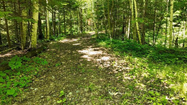 N8381 Birch Hill Road, Phillips, WI 54555