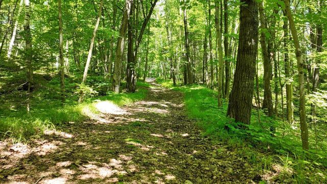 N8381 Birch Hill Road, Phillips, WI 54555