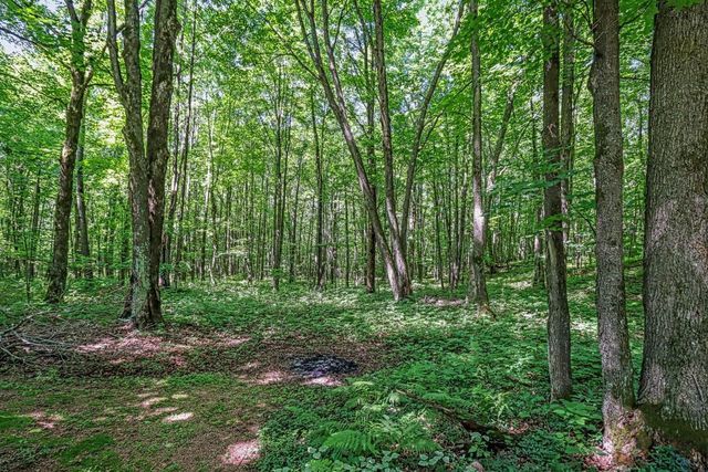 N8381 Birch Hill Road, Phillips, WI 54555