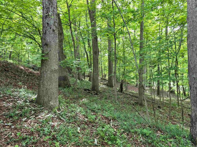 507 Forest Road, Huntington, WV 25705