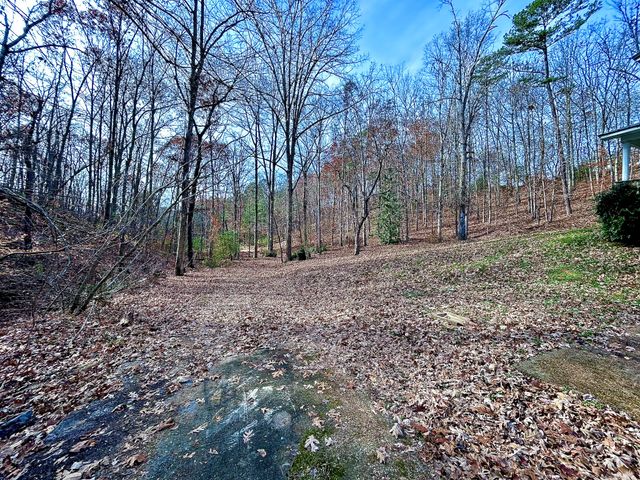 1135 Mink Branch Rd, Waynesboro, TN 38485