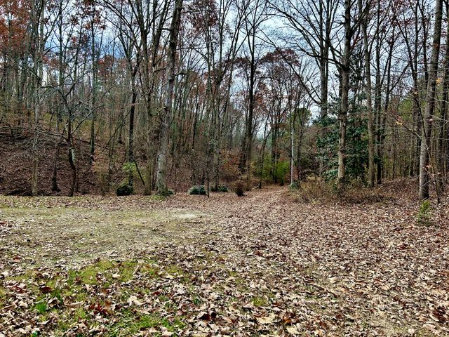 1135 Mink Branch Rd, Waynesboro, TN 38485