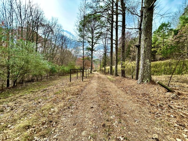 1135 Mink Branch Rd, Waynesboro, TN 38485