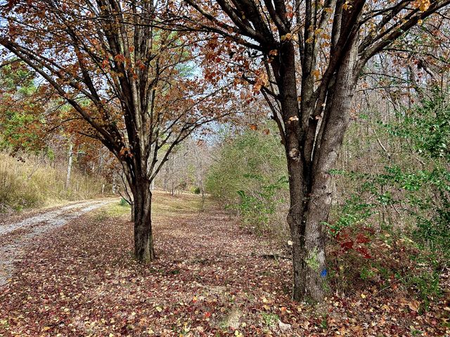 1135 Mink Branch Rd, Waynesboro, TN 38485