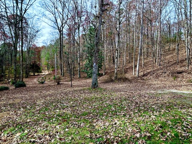 1135 Mink Branch Rd, Waynesboro, TN 38485