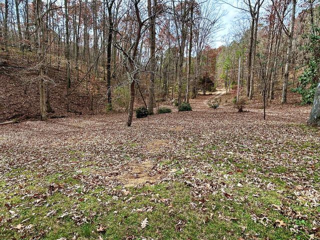 1135 Mink Branch Rd, Waynesboro, TN 38485