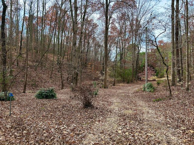 1135 Mink Branch Rd, Waynesboro, TN 38485