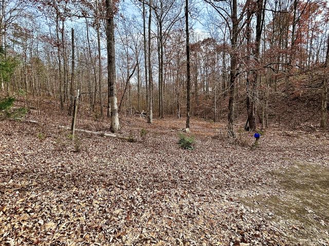 1135 Mink Branch Rd, Waynesboro, TN 38485