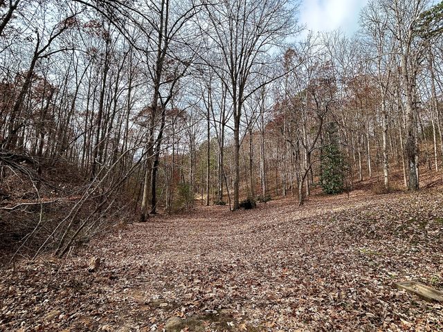 1135 Mink Branch Rd, Waynesboro, TN 38485