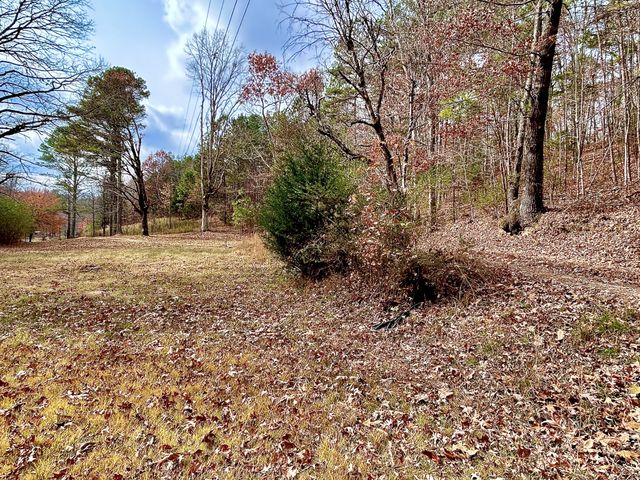 1135 Mink Branch Rd, Waynesboro, TN 38485