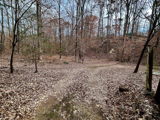 1135 Mink Branch Rd, Waynesboro, TN 38485