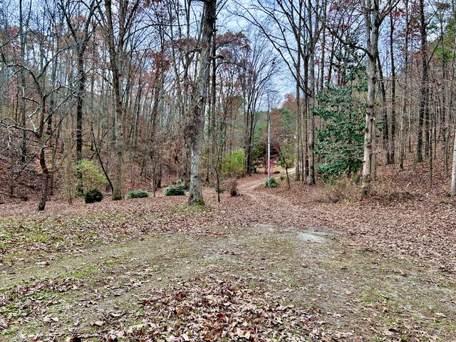 1135 Mink Branch Rd, Waynesboro, TN 38485