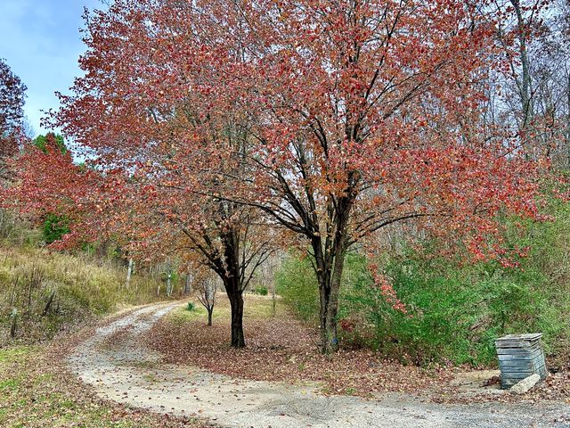 1135 Mink Branch Rd, Waynesboro, TN 38485