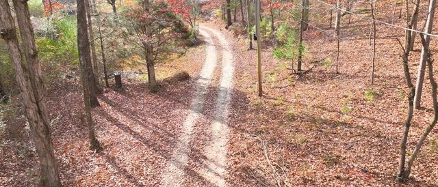 1135 Mink Branch Rd, Waynesboro, TN 38485