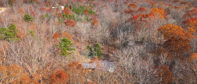 1135 Mink Branch Rd, Waynesboro, TN 38485