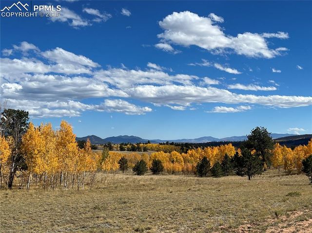 2387 Buffalo Ridge Road, Como, CO 80432