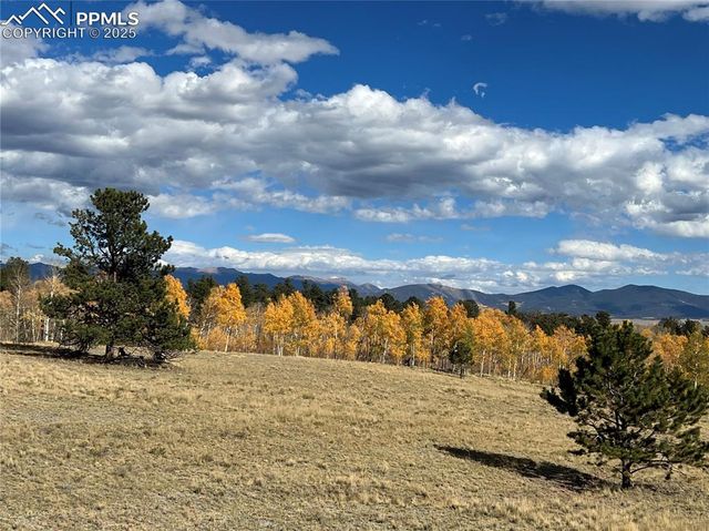 2387 Buffalo Ridge Road, Como, CO 80432