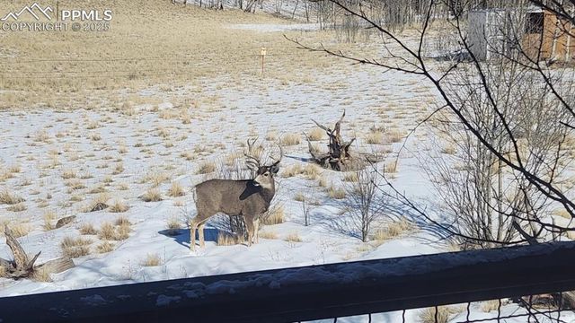 2387 Buffalo Ridge Road, Como, CO 80432