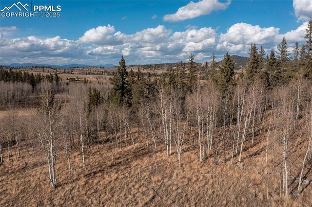 2387 Buffalo Ridge Road, Como, CO 80432