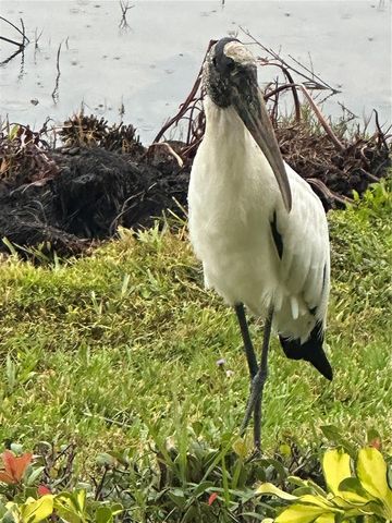 1121 RIVERSCAPE STREET, Bradenton, FL 34208