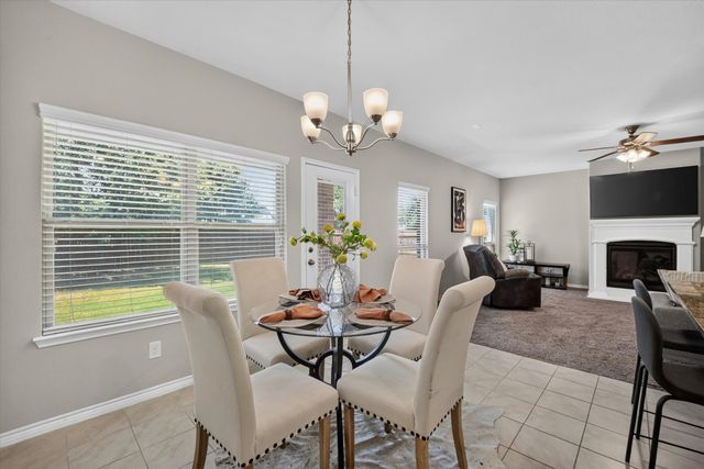 10317 Dimmit Place, Mckinney, TX 75071