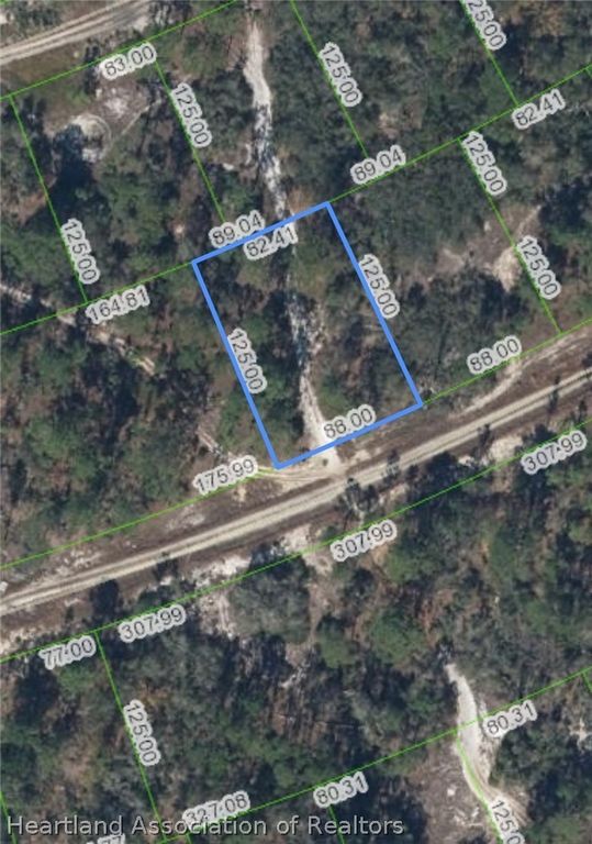 378 Showboat Avenue, Lake Placid, FL 33852