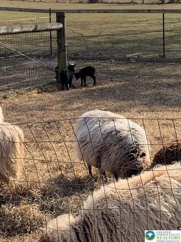 220 Dietrich Road, Albany Twp, PA 19529