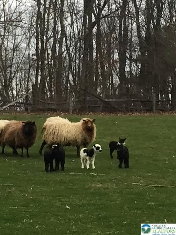 220 Dietrich Road, Albany Twp, PA 19529