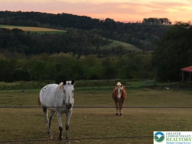 220 Dietrich Road, Albany Twp, PA 19529