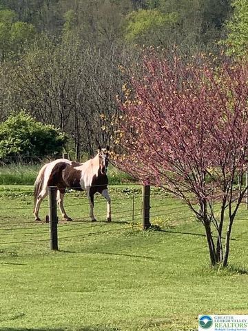 220 Dietrich Road, Albany Twp, PA 19529