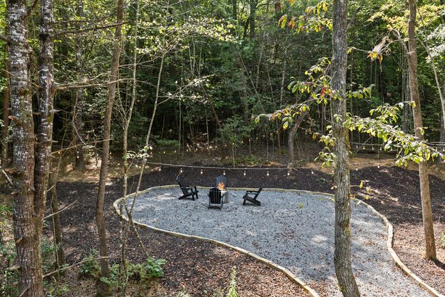 101 Pine Lane, Mineral Bluff, GA 30559