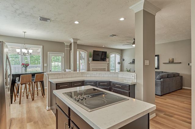 30 Rowan Tree Place, The Woodlands, TX 77384