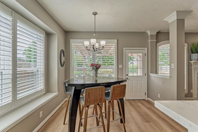 30 Rowan Tree Place, The Woodlands, TX 77384